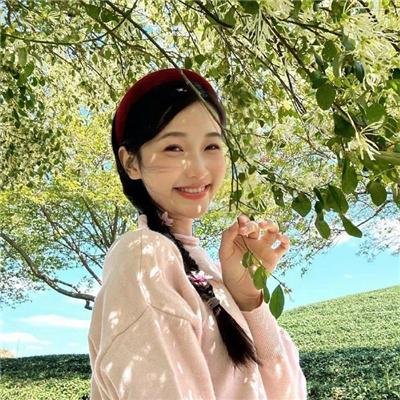 怪诞小镇第一季